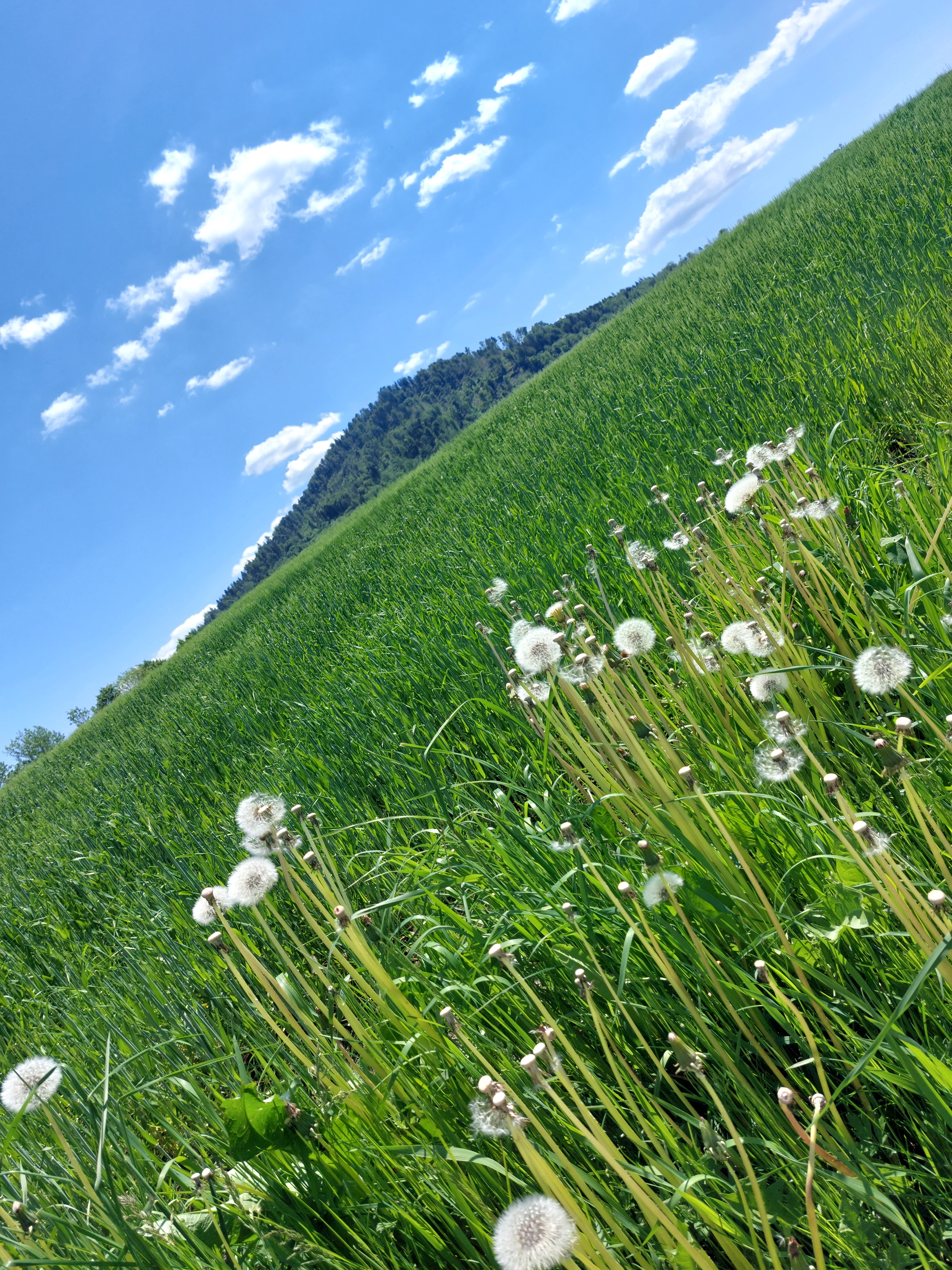 Die andere Art der Meditation: Natur genießen