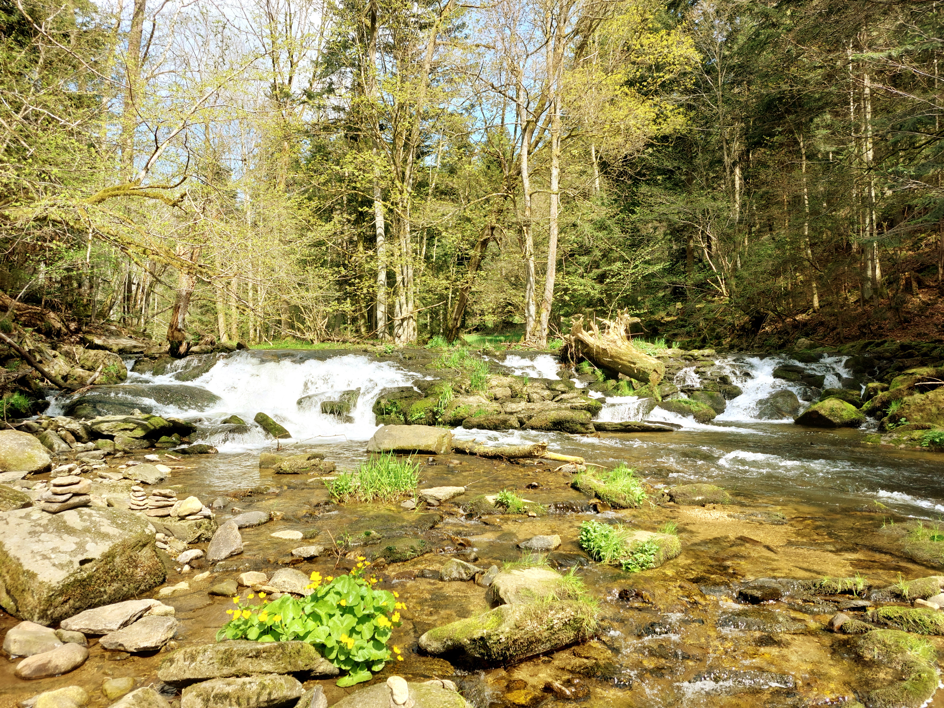 5 Positive Affirmationen: Selbstliebe steigern