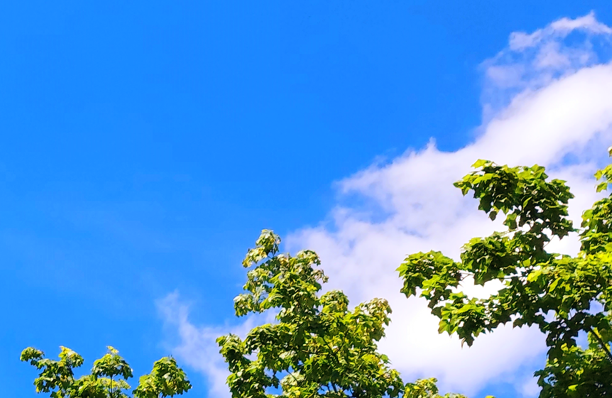 Passives Einkommen Ideen: Wie man Geld verdienen kann, ohne aktiv zu arbeiten